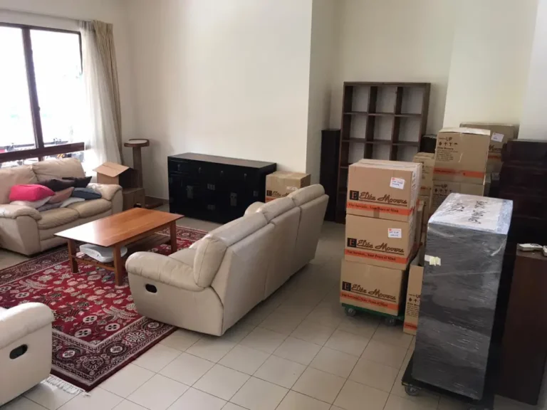 Labelled boxes ready to be moved into a new location